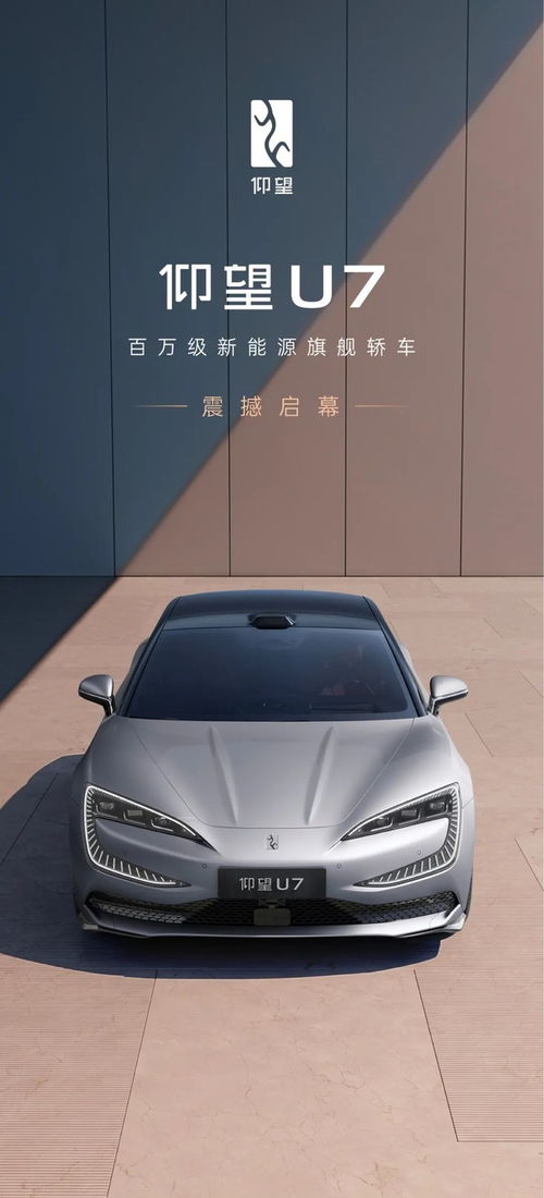 仰望汽车有多少款